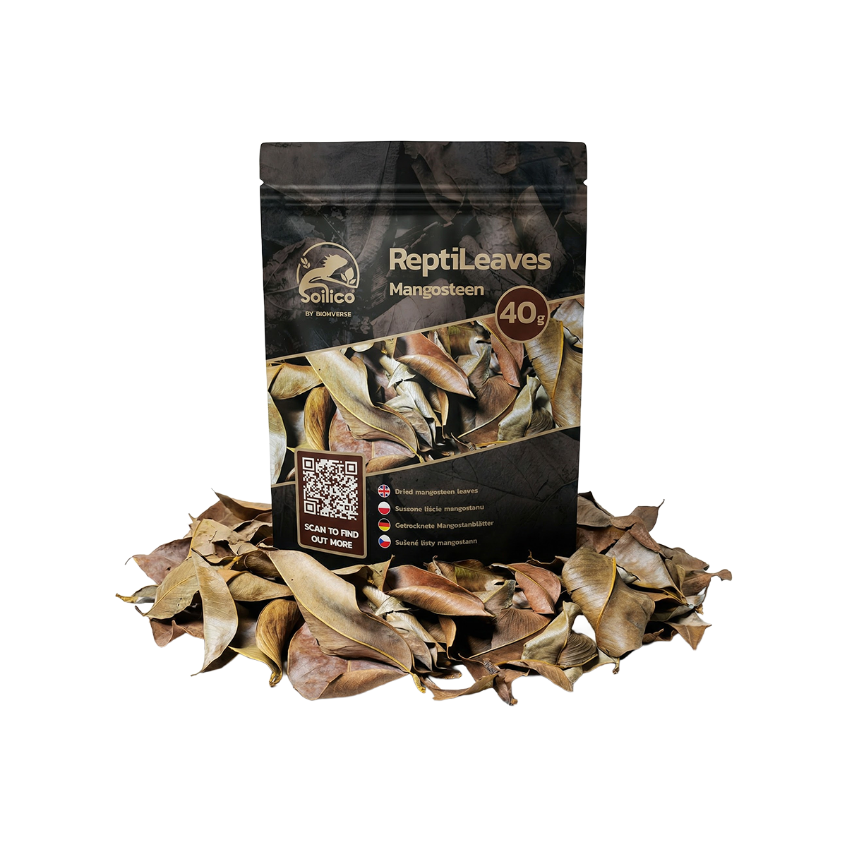 SOILICO ReptiLeaves MANGOSTEEN - Mangostanblätter
